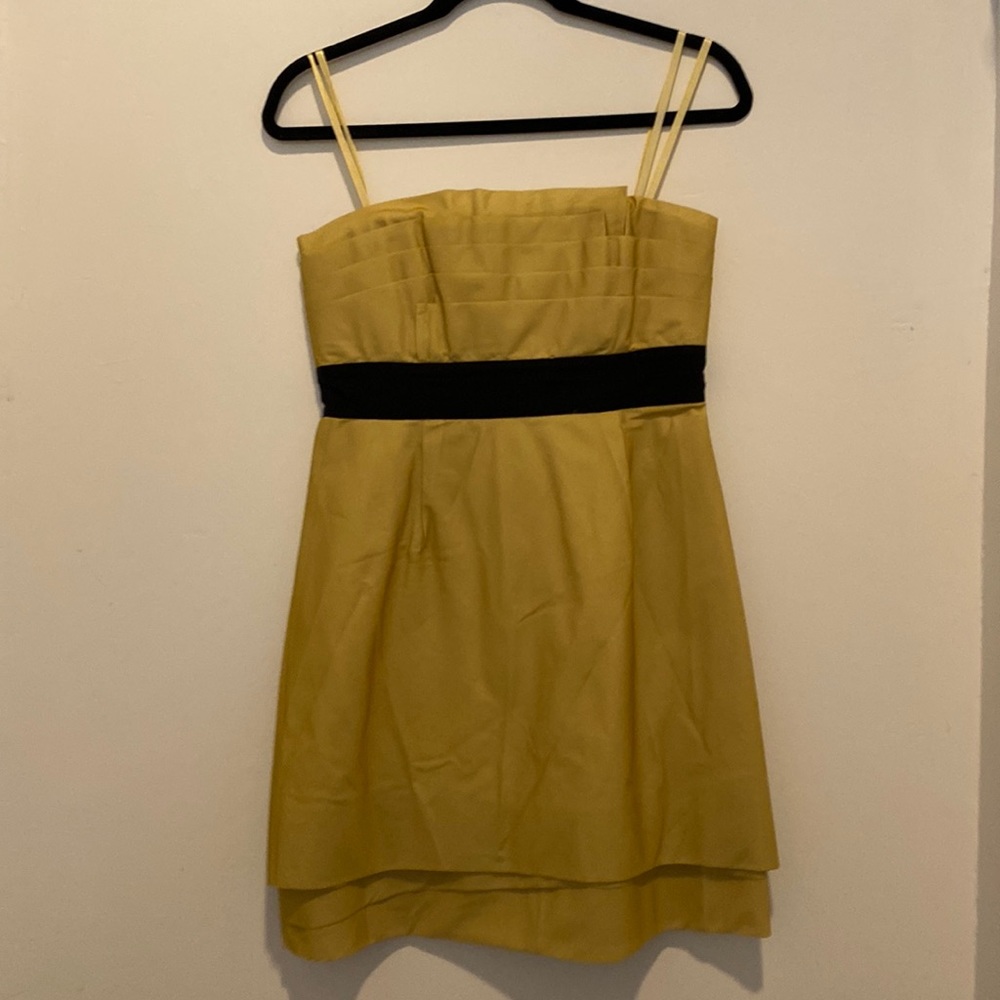 BCBG MaxAzria Strapless Dress